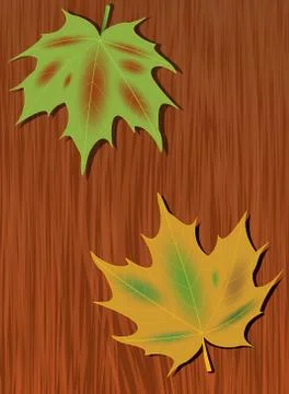 Colored maple leaves in the background of dark wood.- Autumn background with  Stock Illustration