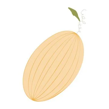 A colored melon Иллюстрация