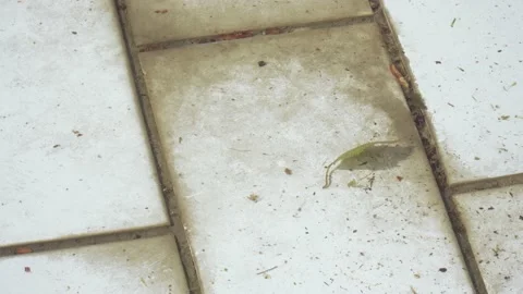 Colored mud pool in park Vídeos de archivo 145942368