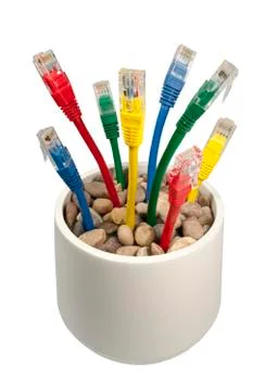 Colored Network Connection Cables Growing in a Flower-pot Stock Photos