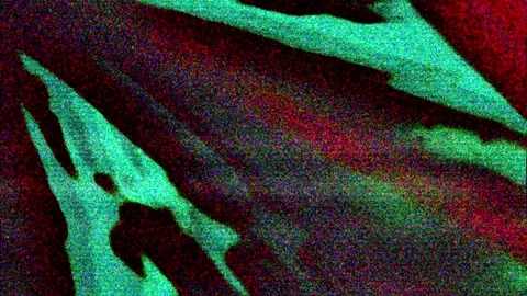 Colored Noise Digital Grunge Glitch Video Damage Видео 85690566