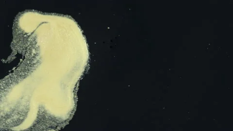 Colored oil which floats on the surface of the water Stock Footage 231103994