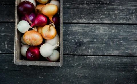Colored onion in a box on wood background.Top view Stock Photos