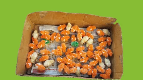 Colored (orange) chicks inside the cardboard Foto stock