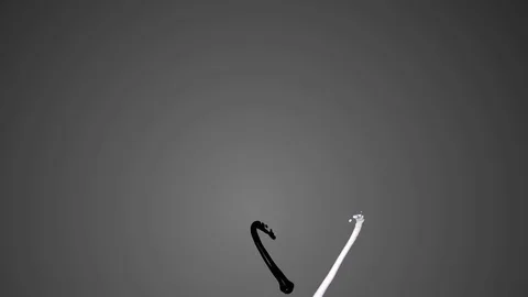 Colored paint streams with alpha channel Video stock 76153231