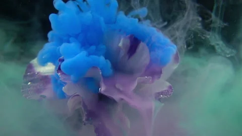 Colored Paints Spreading On Flower Stock Footage 94326922