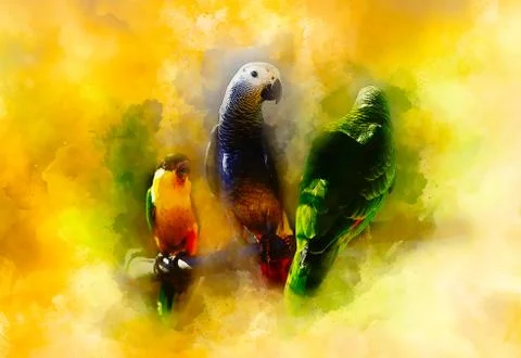 Colored parrots and softly blurred watercolor background. Illustrazione stock