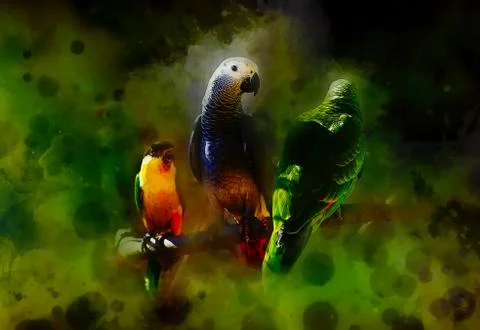Colored parrots and softly blurred watercolor background. Stock Illustration