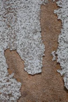 Colored particle board Stock Photos