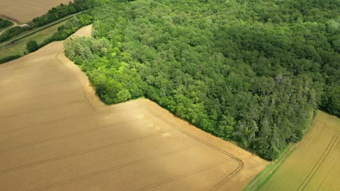 The colored patchwork of forests and fields in the French countryside Video stock 164244775
