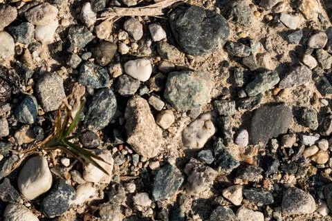 Colored pebble, forming abstract background Foto stock