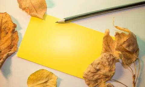 Colored Pencil isolated Stock Photos