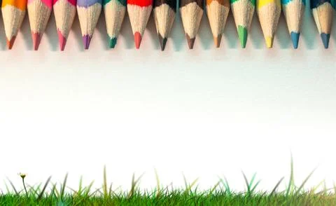 Colored pencils and Grass Stock Illustration