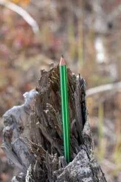 Colored pencils Stock Photos