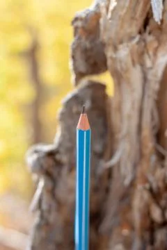Colored pencils Stock Photos