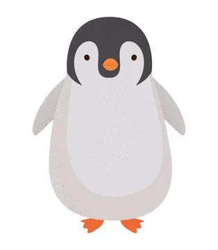 Colored penguin design Stock Illustration