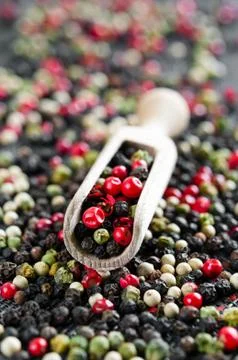 Colored pepper Fotos Stock