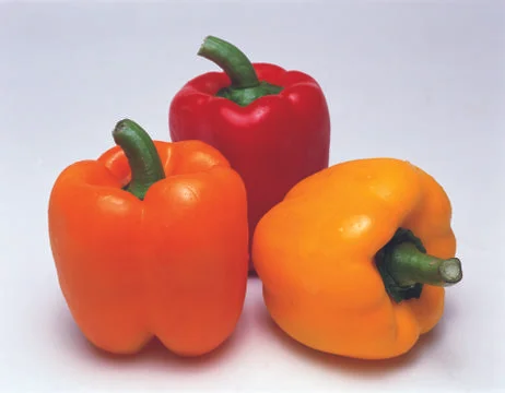 Colored Peppers Stock Photos