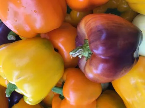 Colored Peppers Stock Photos
