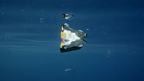 Colored plastic bag floats underwater on blue surface of water Stock Footage 237077265