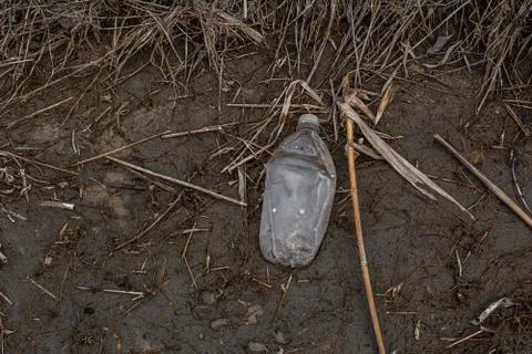 Colored plastic garbage, plastic tableware in the grass, environmental pollution Stock Photos