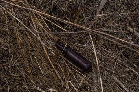 Colored plastic garbage, plastic tableware in the grass, environmental pollution Stock Photos