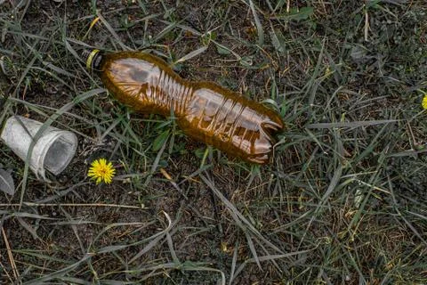 Colored plastic garbage, plastic tableware in the grass, environmental pollution Stock Photos