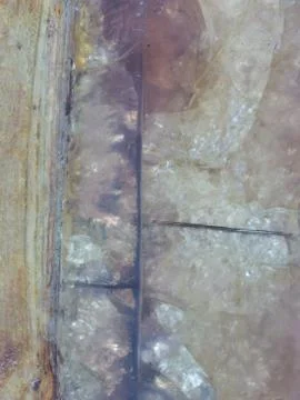 Colored plastic Stock Photos