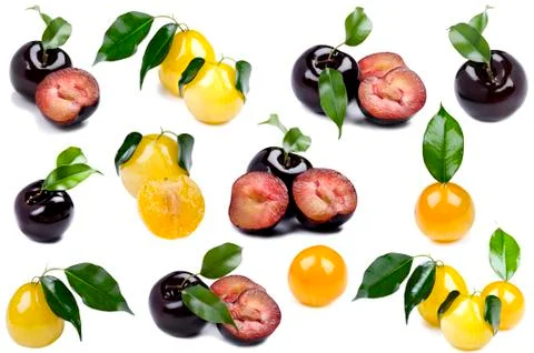 Colored plum on white background Stock Photos