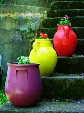 Colored pots with flowers on the steps covered with moss Stock Photos