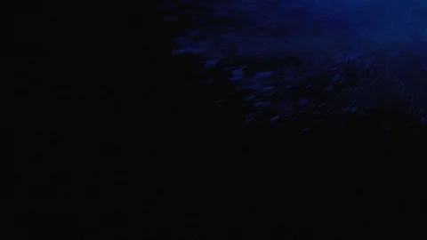 Colored Powder Is Exploded Against A Black Background Stock Footage 87478133