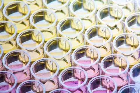 Colored probes for analysis on samples 스톡 사진