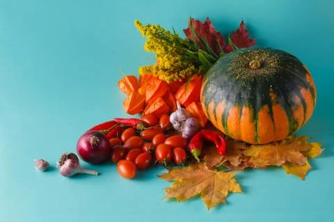Colored pumpkin and fall harvest Stock-Fotos