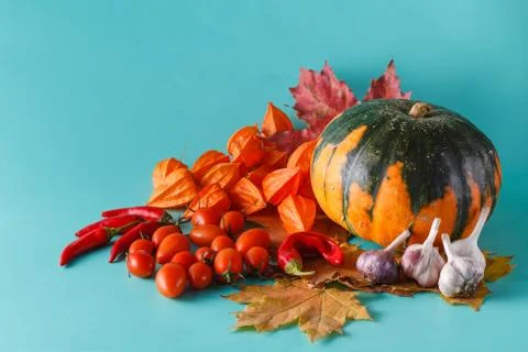 Colored pumpkin shadowless background Stock-Fotos