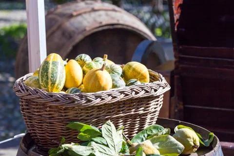 Colored pumpkins in the basket Stock Photos