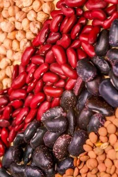 Colored puse chickpea Stock Photos