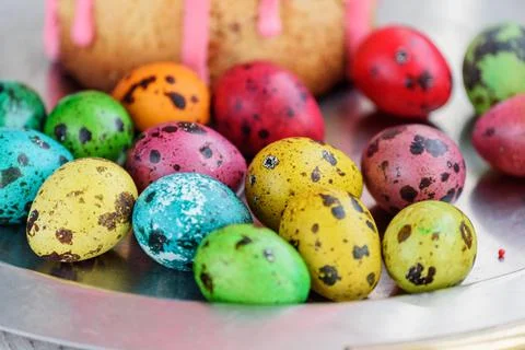 Colored quail eggs. Happy easter. spring holidays Stock Photos