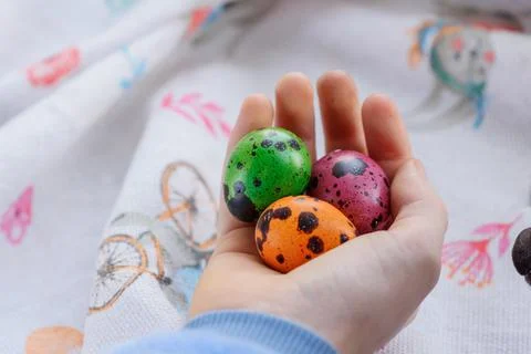 Colored quail eggs. Happy easter. spring holidays Stock Photos