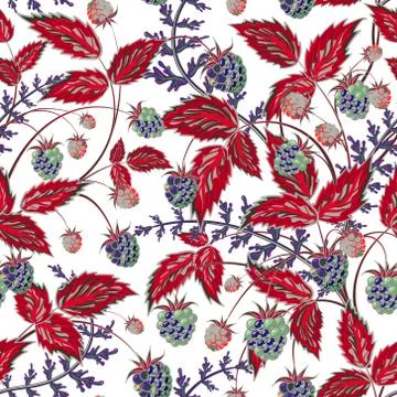 Colored raspberries seamless pattern. Seamless pattern with colored hand draw Stock Illustration