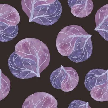 Colored red cabbage in sketch style. illustration for your design Stock Illustration