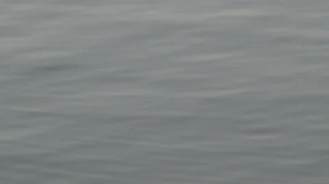 Colored reflection in water surface 스톡 동영상 23421618