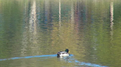 Colored reflection in water surface 스톡 동영상 23422144