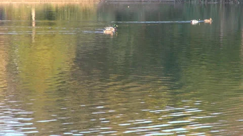 Colored reflection in water surface Vídeos de archivo 23422871