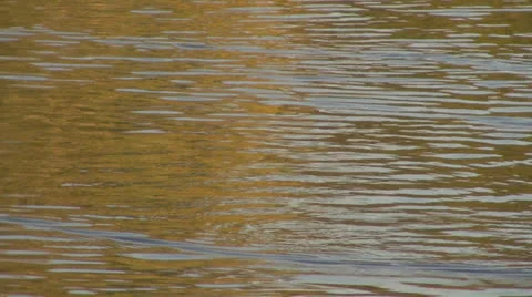 Colored reflection in water surface 스톡 동영상 23423484