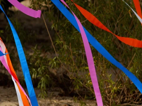 Colored ribbons tied to a tree, swaying in the wind Stock Footage 74123767