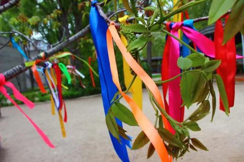 Colored ribbons on the tree Stock Photos