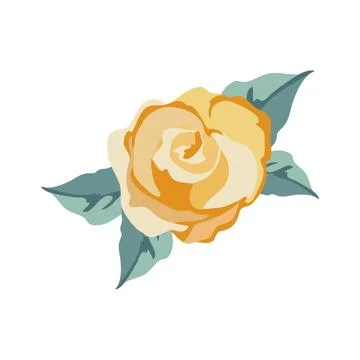 Colored rose design Stock Illustration