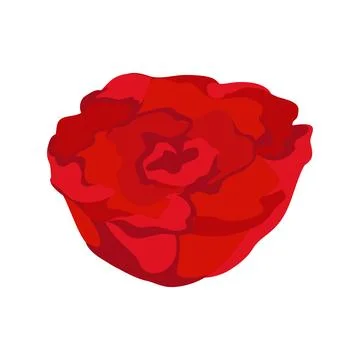 Colored rose design Stock Illustration