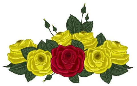 Colored roses vector illustration on white Stock Illustration