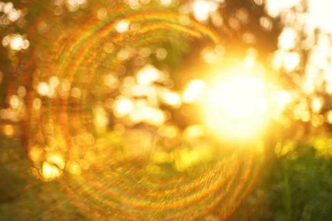 Colored round glare of the sun in the spring park. 스톡 사진